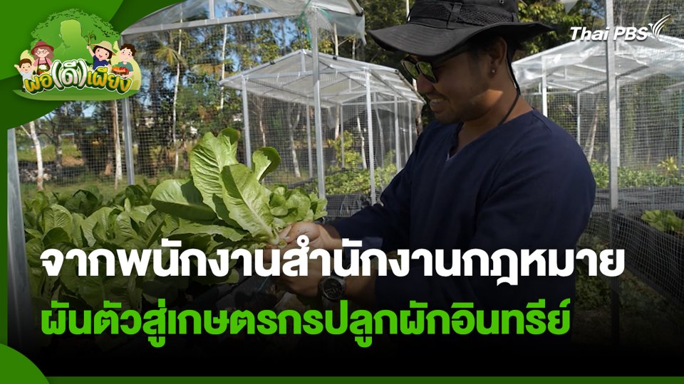 จากพนักงานสำนักงานกฎหมาย ผันตัวสู่เกษตรกรปลูกผักอินทรีย์