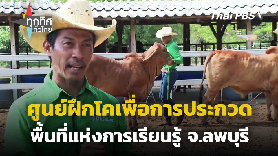 ศูนย์ฝึกโคเพื่อการประกวดพื้นที่แห่งการเรียนรู้