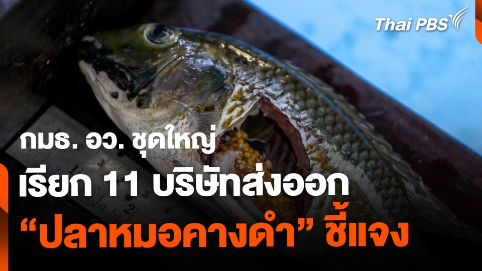 กมธ. อว. ชุดใหญ่ เรียก 11 บริษัทส่งออก "ปลาหมอคางดำ" เข้าชี้แจง