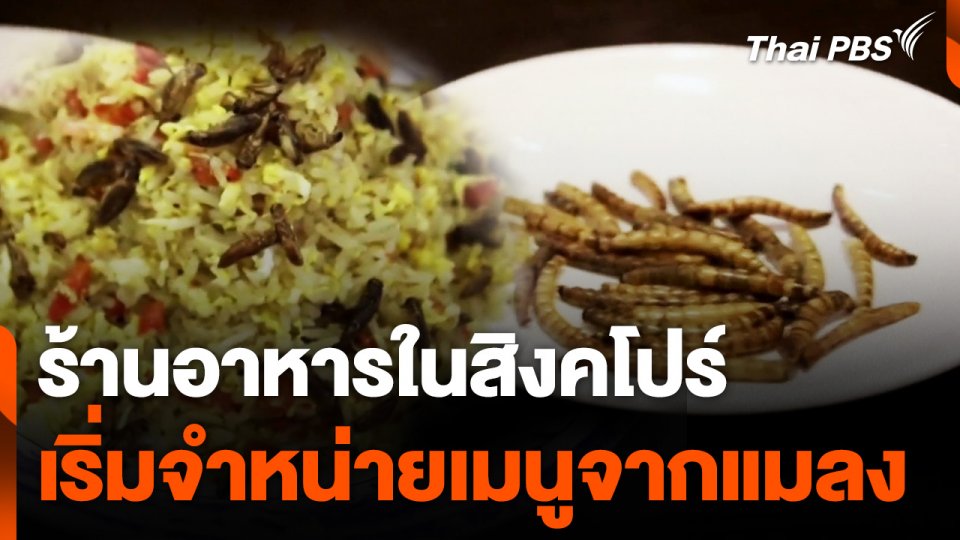 ร้านอาหารในสิงคโปร์ เริ่มจำหน่ายเมนูจากแมลง