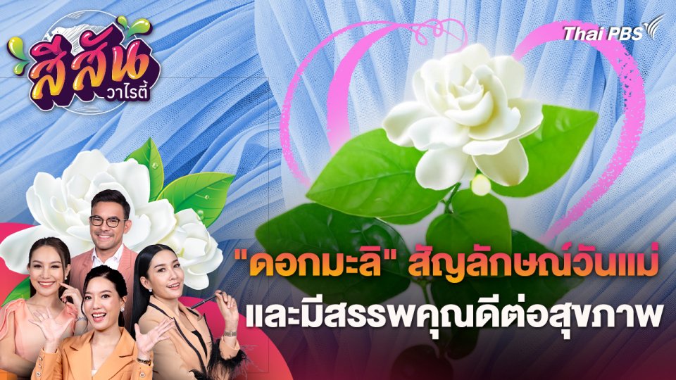 "ดอกมะลิ" สัญลักษณ์วันแม่ และมีสรรพคุณดีต่อสุขภาพ