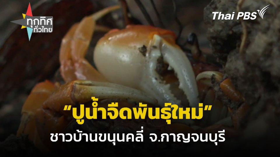 อนุรักษ์ปูสายพันธุ์ใหม่ในสวนเกษตร