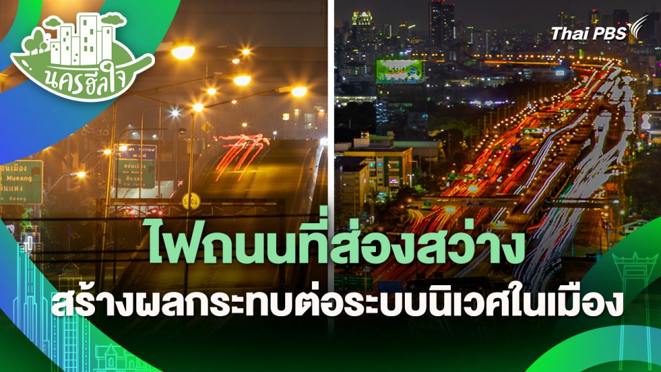 นครฮีลใจ : ไฟถนนที่ส่องสว่าง สร้างผลกระทบต่อระบบนิเวศในเมือง