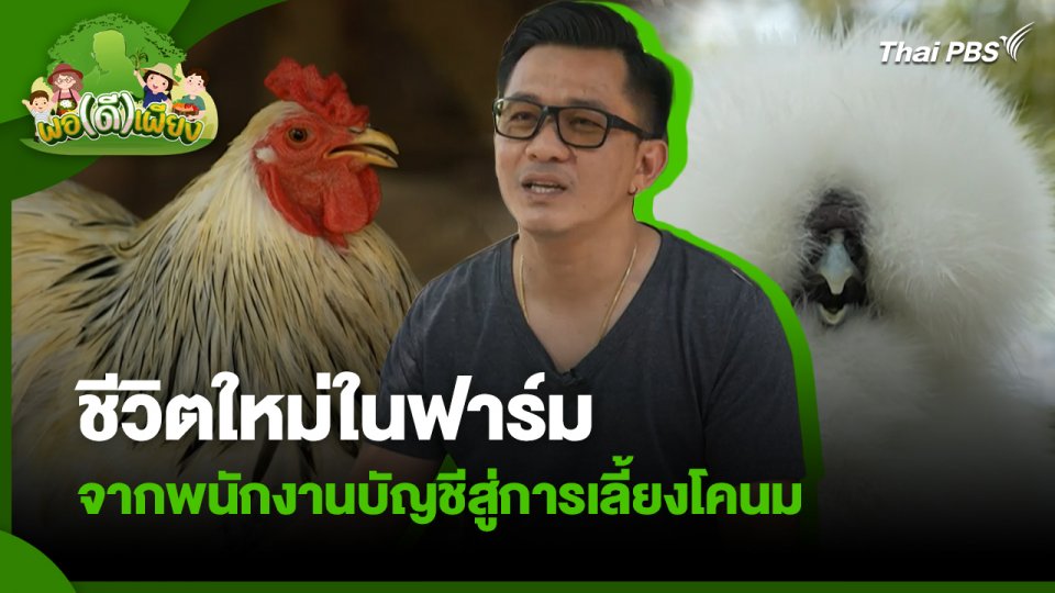 พอดีพอเพียง : ปลดปล่อยจากความเสี่ยง สู่การเลี้ยงไก่สวยงามอย่างยั่งยืน