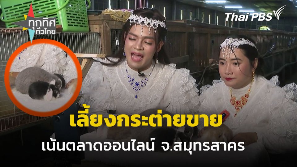 ผู้ใหญ่บ้านเลี้ยงกระต่ายขายออนไลน์ จ.สมุทรสาคร