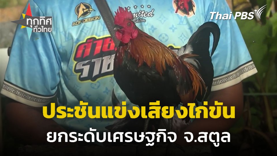 ประชันแข่งเสียงไก่ขันยกระดับเศรษฐกิจ จ.สตูล