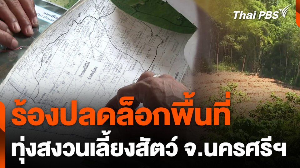 ร้องปลดล็อกพื้นที่ทุ่งสงวนเลี้ยงสัตว์ จ.นครศรีธรรมราช