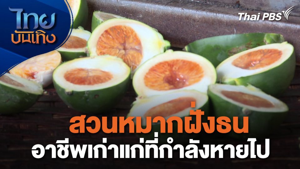 อิ่มมนต์รส : สวนหมากฝั่งธน อาชีพเก่าแก่ที่กำลังหายไป