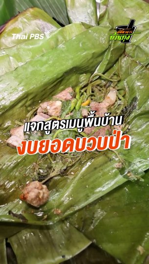 แจกสูตรเมนูพื้นบ้าน งบยอดบวบป่า
