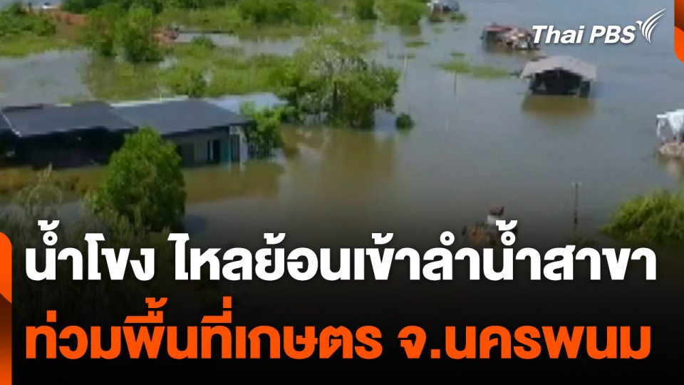 "นครพนม" น้ำโขง ไหลย้อนเข้าลำน้ำสาขา ท่วมพื้นที่เกษตร