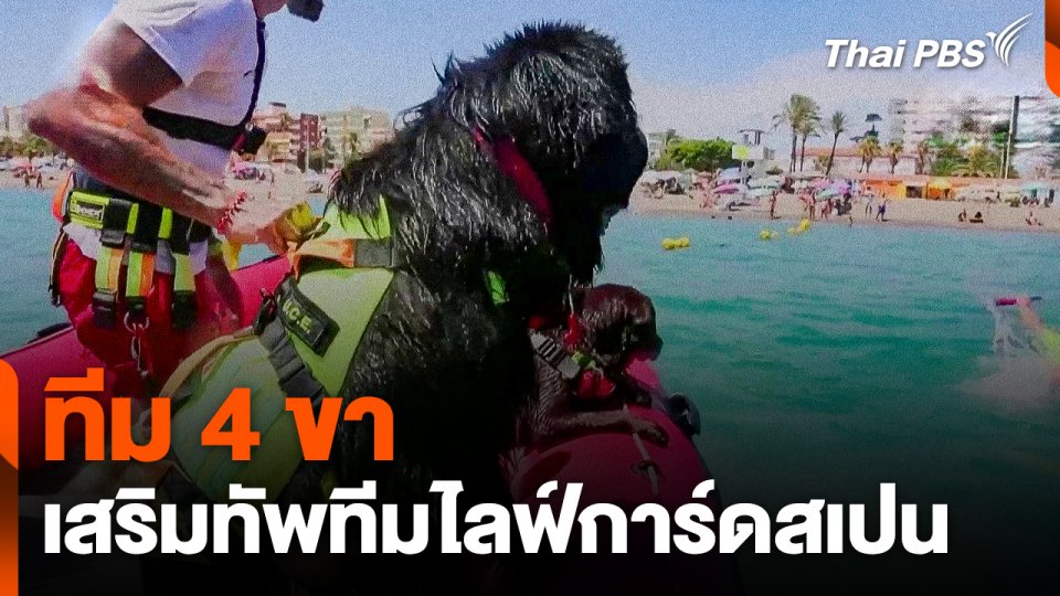 ทีม 4 ขา เสริมทัพทีมไลฟ์การ์ดสเปน