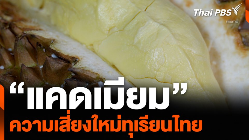 “แคดเมียม” ความเสี่ยงใหม่ทุเรียนไทย