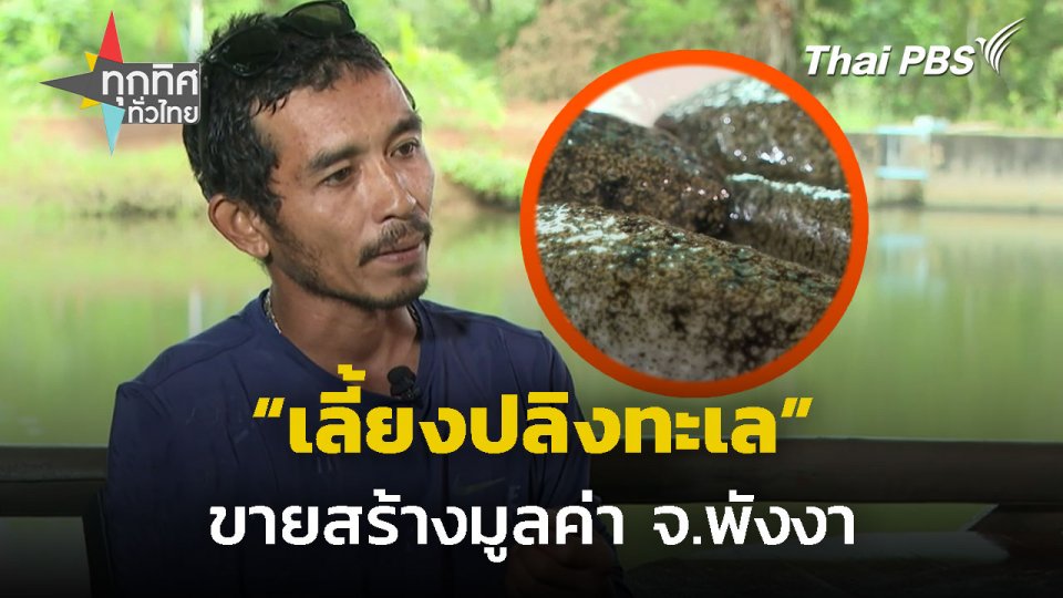 ชาวเกาะยาวน้อยเลี้ยงปลิงทะเลขายสร้างมูลค่า