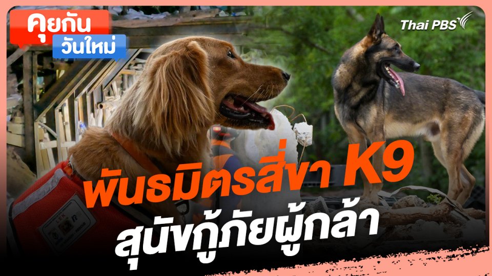 คุยกันวันใหม่ : พันธมิตรสี่ขา K9 สุนัขกู้ภัยผู้กล้า