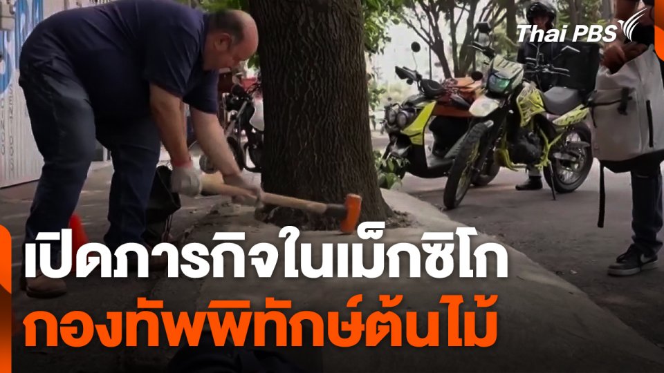 กองทัพพิทักษ์ต้นไม้เม็กซิโก