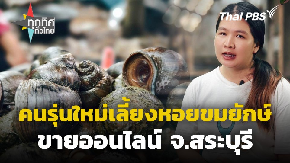 คนรุ่นใหม่เลี้ยงหอยขมยักษ์ขายออนไลน์ จ.สระบุรี