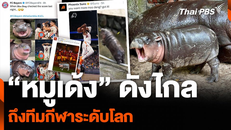 “หมูเด้ง” ดังไกลถึงทีมกีฬาระดับโลก