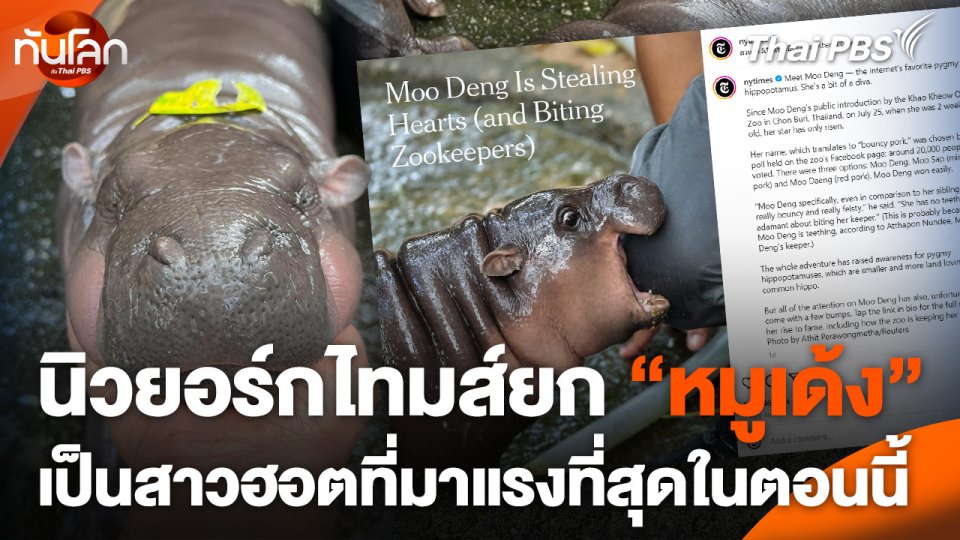 นิวยอร์กไทมส์ยก “หมูเด้ง” เป็นสาวฮอตที่มาแรงที่สุดในตอนนี้