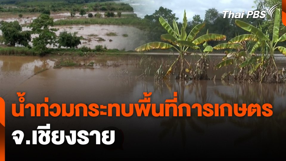 สถานีร้องเรียน : น้ำท่วมกระทบพื้นที่การเกษตร จ.เชียงราย