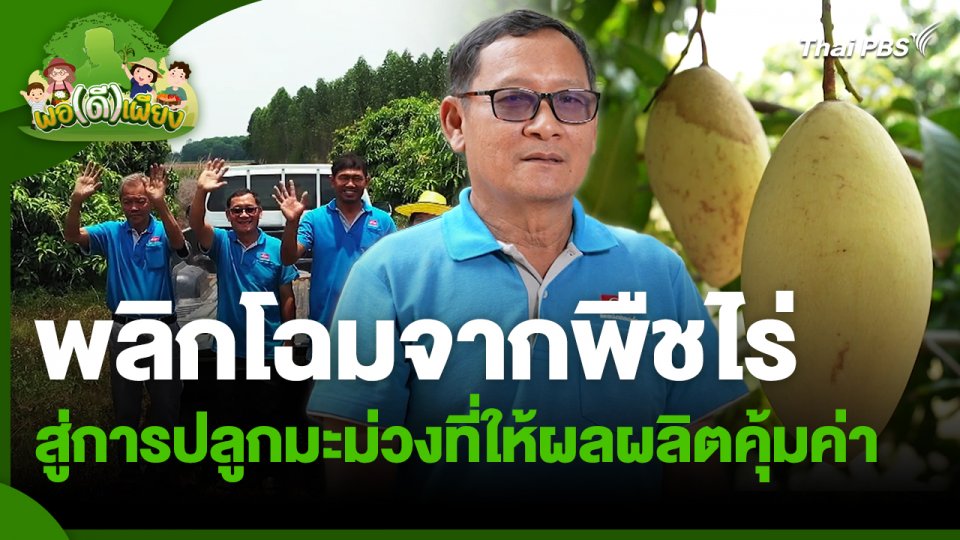 พอดีพอเพียง : พลิกโฉมจากพืชไร่ สู่การปลูกมะม่วงที่ให้ผลผลิตคุ้มค่า