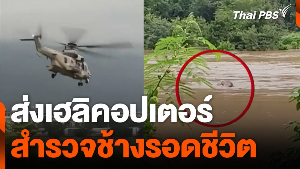 ส่งเฮลิคอปเตอร์ สำรวจช้างรอดชีวิต