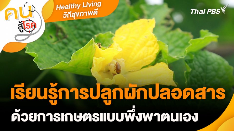 Healthy Living วิถีสุขภาพดี : เรียนรู้การปลูกผักปลอดสารด้วยการเกษตรแบบพึ่งพาตนเอง