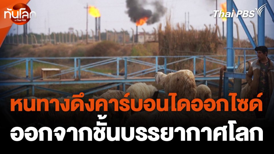 หนทางดึงคาร์บอนไดออกไซด์ออกจากชั้นบรรยากาศโลก