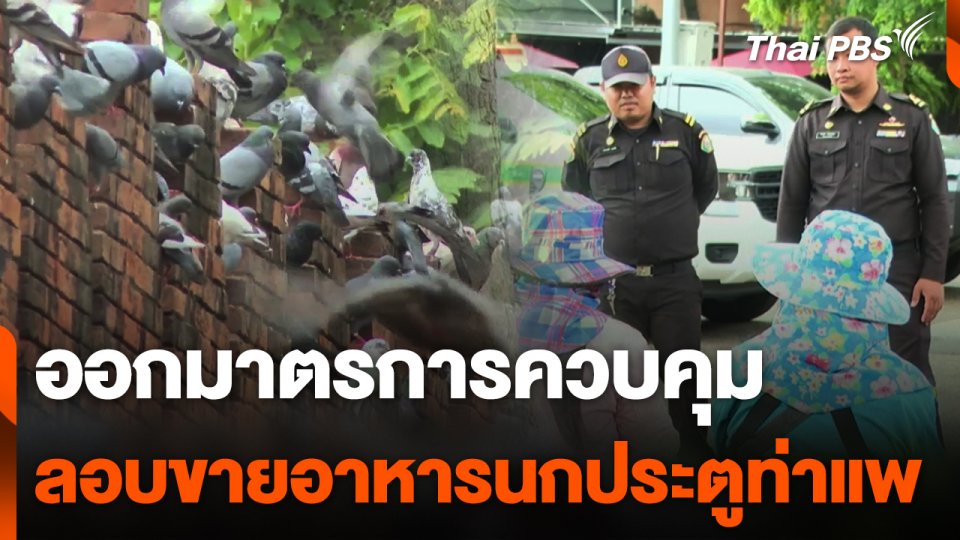 ออกมาตรการควบคุมขายอาหารนกประตูท่าแพ จ.เชียงใหม่