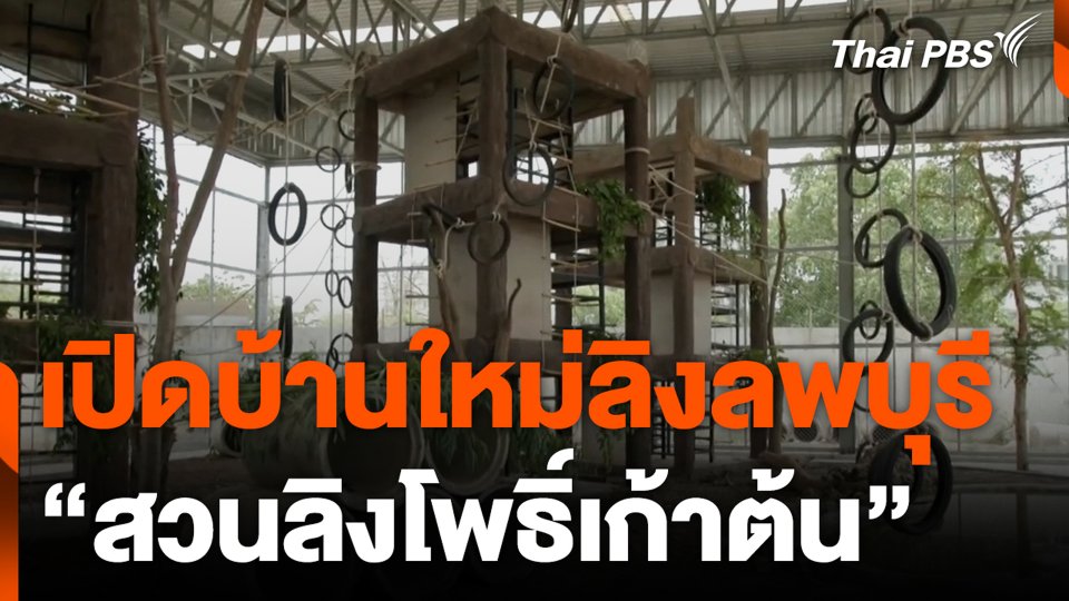 เปิดบ้านใหม่ลิงลพบุรี “สวนลิงโพธิ์เก้าต้น”
