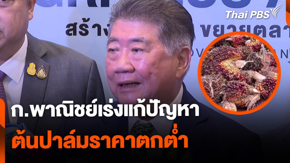 ก.พาณิชย์เร่งแก้ปัญหาปาล์มราคาตก