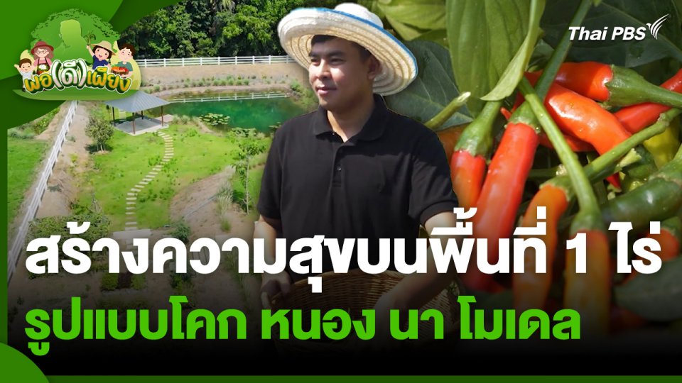 พอดีพอเพียง : สร้างความสุขบนพื้นที่ 1 ไร่ รูปแบบโคก หนอง นา โมเดล