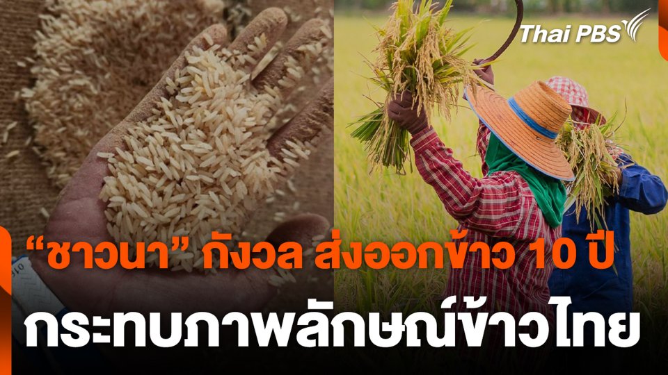 “ชาวนา” กังวล ส่งออกข้าว 10 ปี กระทบภาพลักษณ์ข้าวไทย