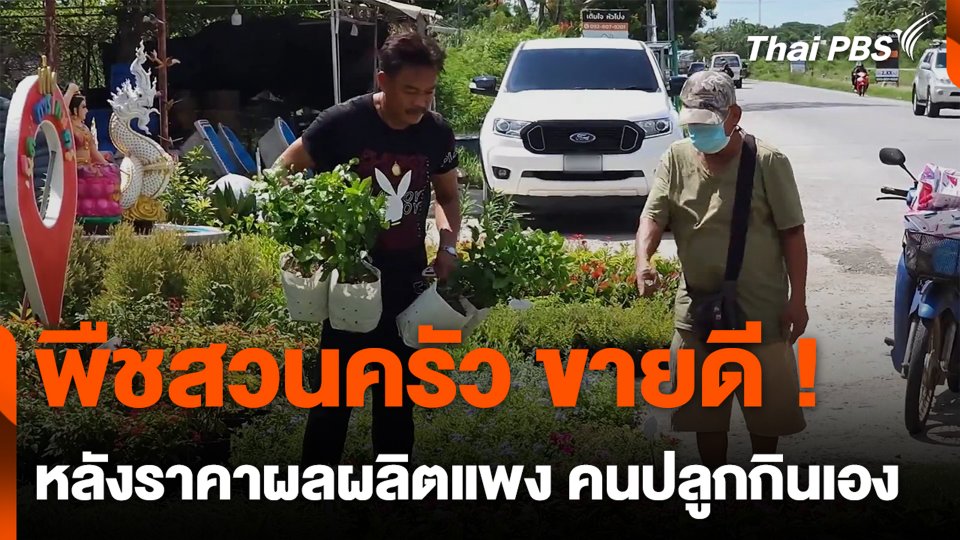 พืชสวนครัว ขายดี ! หลังราคาผลผลิตแพง คนปลูกกินเอง