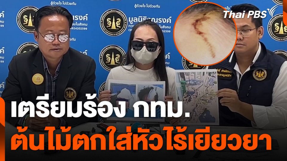 ร้อง กทม. เหตุต้นไม้ตกใส่หัวไร้เยียวยา