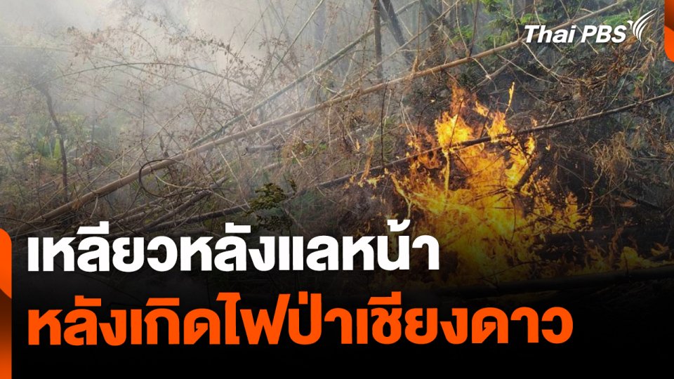 เหลียวหลังแลหน้า ไฟป่าเชียงดาว