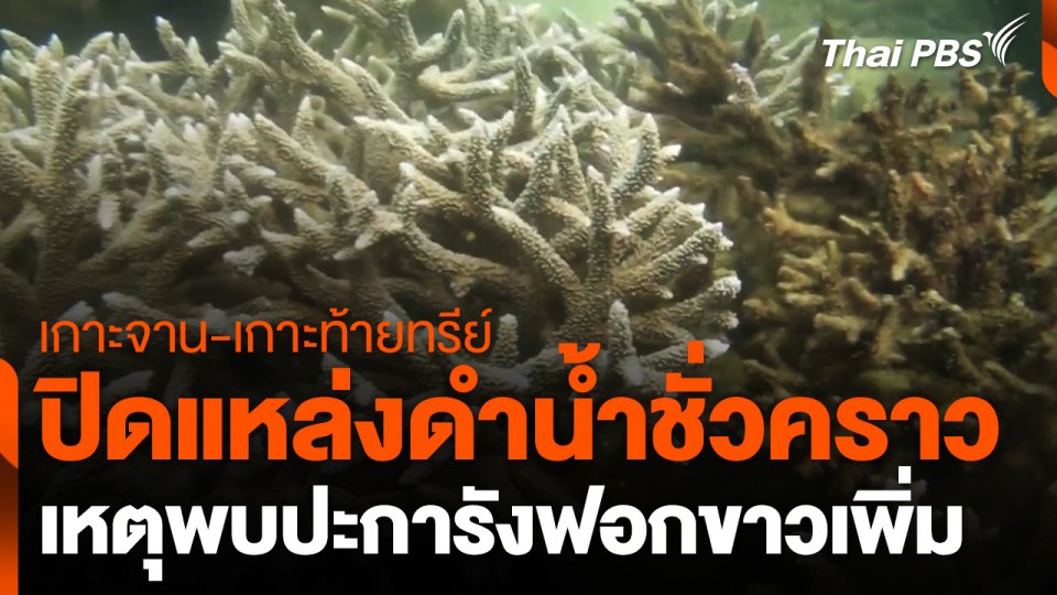 ปิดแหล่งดำน้ำเกาะจาน-เกาะท้ายทรีย์ เหตุพบปะการังฟอกขาวเพิ่ม