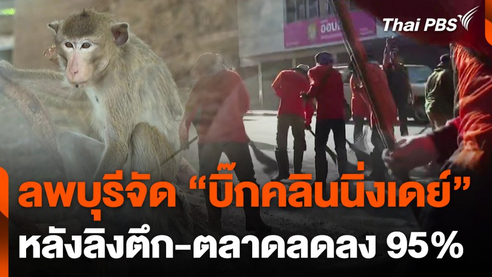 ยุติจิบลิงชั่วคราว ล้างเมือง คืนความสุขให้ชาวลพบุรี