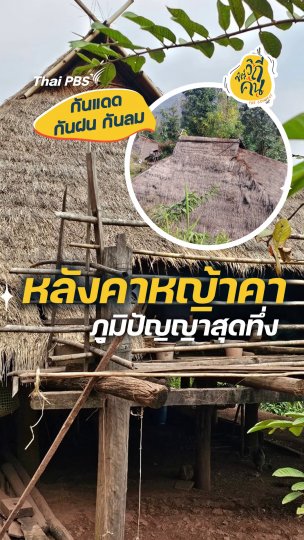 หลังคาหญ้าคา ภูมิปัญญาสุดทึ่ง
