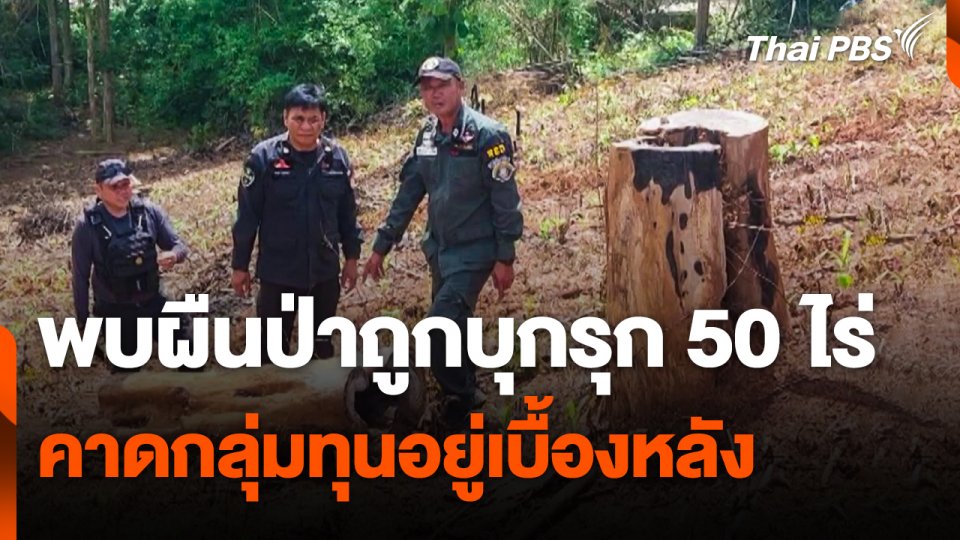 พบผืนป่าถูกบุกรุก 50 ไร่ คาดกลุ่มทุนอยู่เบื้องหลัง