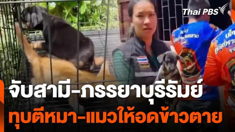 จับสามี-ภรรยาบุรีรัมย์ทุบตีหมา-แมวให้อดข้าวตาย