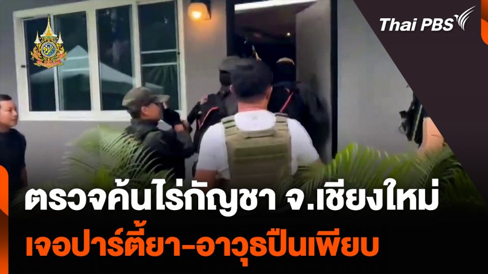 ปฏิบัติการตรวจค้นไร่กัญชา จ.เชียงใหม่ เจอปาร์ตี้ยา-อาวุธปืนเพียบ