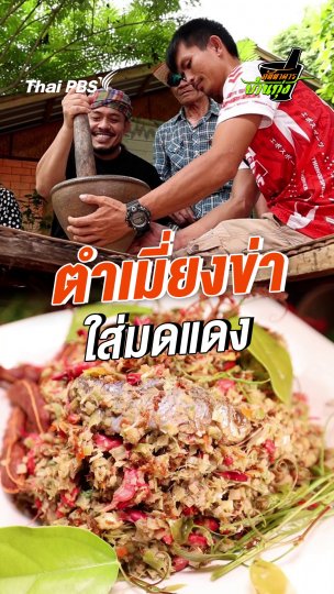 ตำเมี่ยงข่าใส่มดแดง