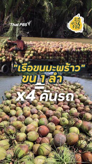 เรือขนมะพร้าวขน 1 ลำ = 4 คันรถ