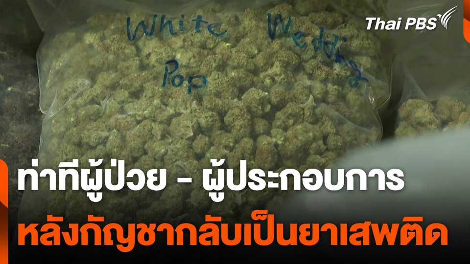 ท่าทีผู้ป่วย - ผู้ประกอบการ หลังกัญชากลับเป็นยาเสพติด