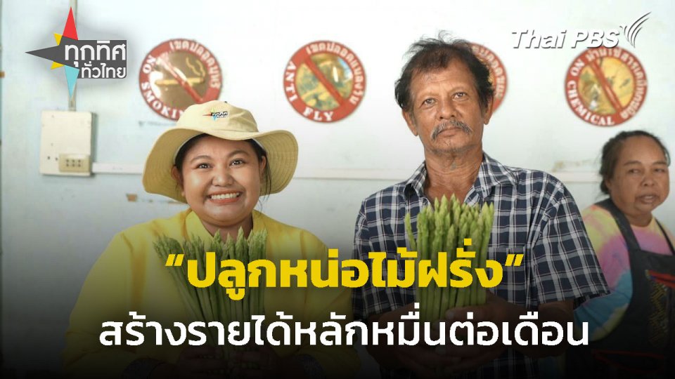 รวมกลุ่มปลูกหน่อไม้ฝรั่งส่งออก จ.นครปฐม