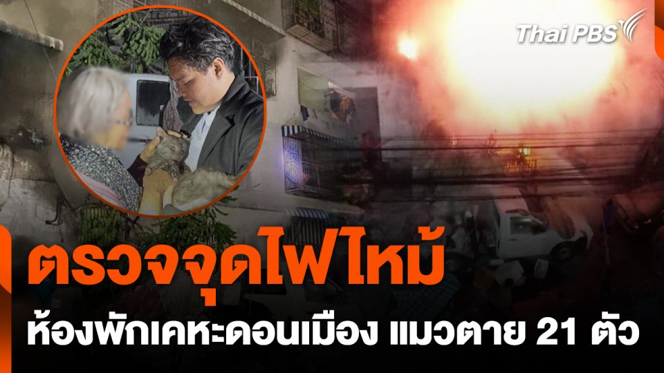 ตรวจจุดไฟไหม้ห้องพักเคหะดอนเมือง แมวตาย 21 ตัว