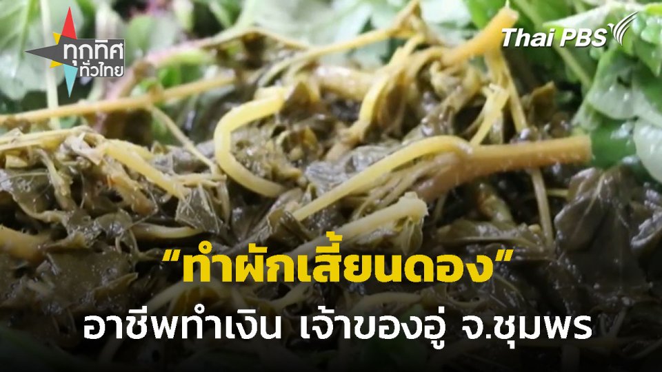 เจ้าของอู่รถ ปลูกผักเสี้ยนดองเสริมรายได้ จ.ชุมพร