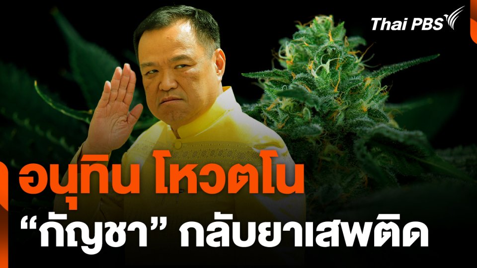 อนุทิน โหวตโน "กัญชา" กลับยาเสพติด