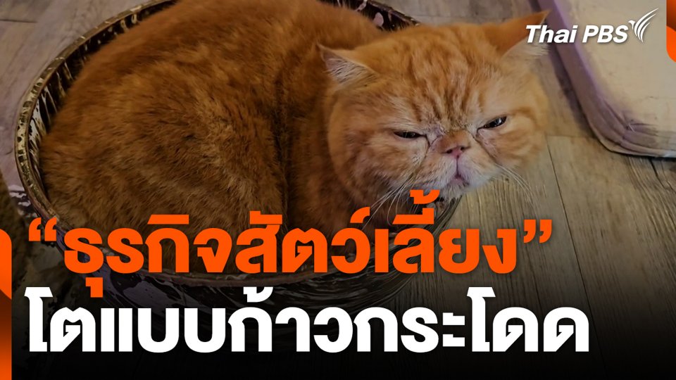 “ธุรกิจสัตว์เลี้ยง” โตแบบก้าวกระโดด