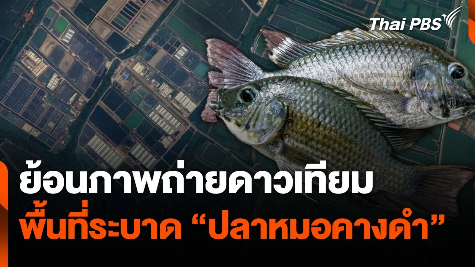 The EXIT : ย้อนภาพถ่ายดาวเทียมพื้นที่ระบาด "ปลาหมอคางดำ" ต.ยี่สาร